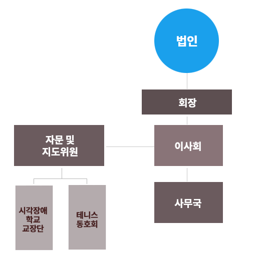 사단법인 한국시각장애인테니스연맹 조직도